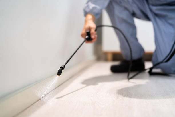 Licensed Pest Control service in Barron, WI - Show Me Pest Control