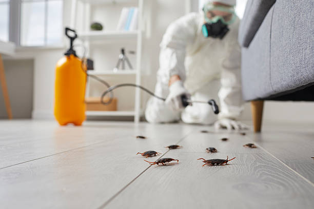 Post-Treatment Bed Bug Interceptor Monitoring in Barron