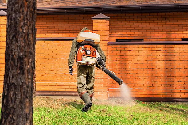 Bed Bug Clearance Verification and Documentation in Barron